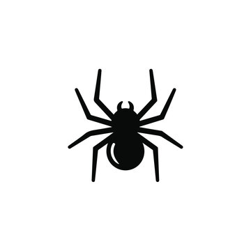 Spider Silhouette