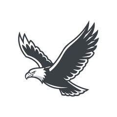 Obraz premium Eagle in Flight