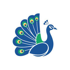 Peacock with Spread Tail Displaying Bright Colors