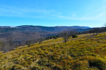 Fototapeta premium View of Čičarija mountain range and meadow with trees in Primorska, Slovenia