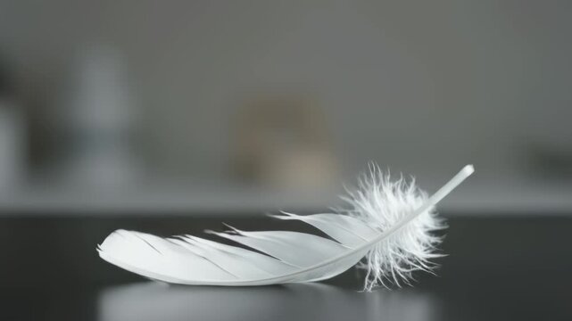 White feather on dark reflective surface, highlighting delicate structure, fluffy texture. Elegant white feather symbolizes purity, peace, and lightness for spiritual concepts.