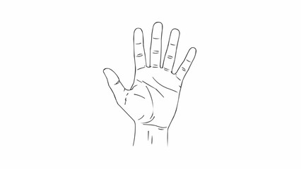 Obraz premium Line drawing of a human hand showing five fingers and palm lines.