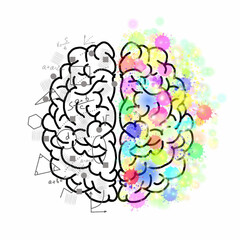 Creative and analytical brain split illustration showing logic on left and imagination on the right