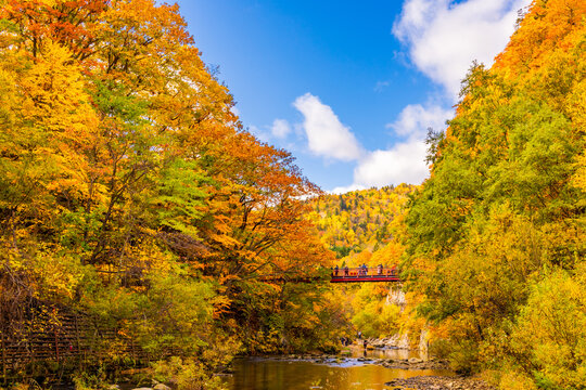 The spectacular view of The red Futami Suspension Bridge over Toyohira River with beautiful fall colors on the riverside cliffs in Jozankei Onsen, Hokkaido, Japan