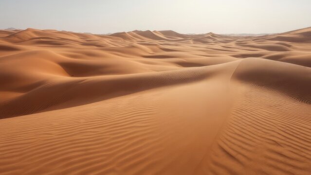 Vast desert dunes under a pale sky