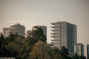 Fotograf&iacute;a callejera y de viaje.