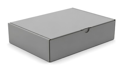 Naklejka premium Gray Shoe Box with Hinged Lid and Handle Cutout cardboard box rectangular box closed box