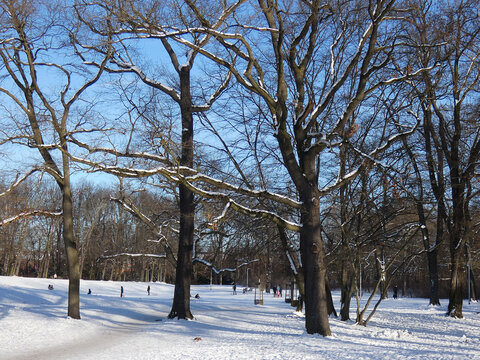 Bellevuepark K&ouml;penick mit Rodelbahn im Winter