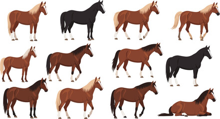 Obraz premium Horse Illustration Set Featuring Multiple Breeds and Poses Including Standing, Walking, and Resting Horses for Farm Life, Equestrian Design, and Vector Graphics