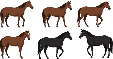 Obraz premium Horse Walking Illustration Set Featuring Brown and Black Horses in Side View Poses for Equestrian Design, Farm Life Graphics, Wildlife Art, and Vector Projects