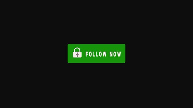 A follow button with a plus icon, a user interface element for social media subscription.