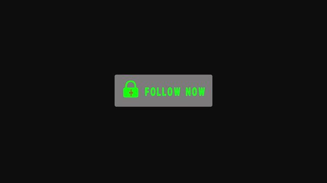 A follow button with a plus icon, a user interface element for social media subscription.