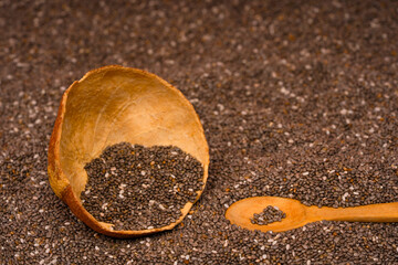 Chia seeds in a wooden bowl with a wooden spoon