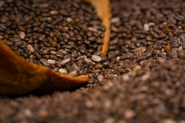 Salvia Hispanica - Nutrients in Chia Seeds