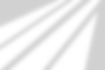 Beautiful sunlight and shadow overlay effect isolated on transparent background. Falling blurred shadow on wall. Window shadow for luxury interior design decoration. Product display design elements