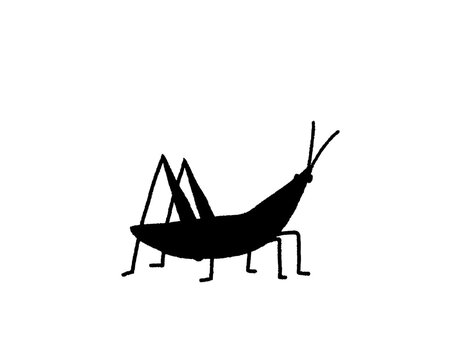 Vector illustration of a grasshopper