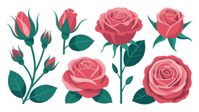 Pink roses with green leaves in floral rose buds petals