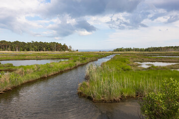 Fototapeta premium Meandering Tidal Creek Through Green Marsh