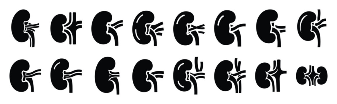 kidney vector icon set multiple style collection. doctor day silhouette medical symbols for healthcare