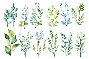 Collection of vector art showing bushes and shrubs for garden designs and decorations with various styles and shapes