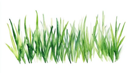 Fototapeta premium Hand drawn watercolor green grass with fine detail and multiple shades on a white background celebrating nature in art