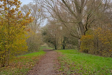 Obraz premium Hiking trail along colorful autumn trees and shrubs in the wetlands of Bourgoyen nature reserve, Ghent, Flanders, Belgium