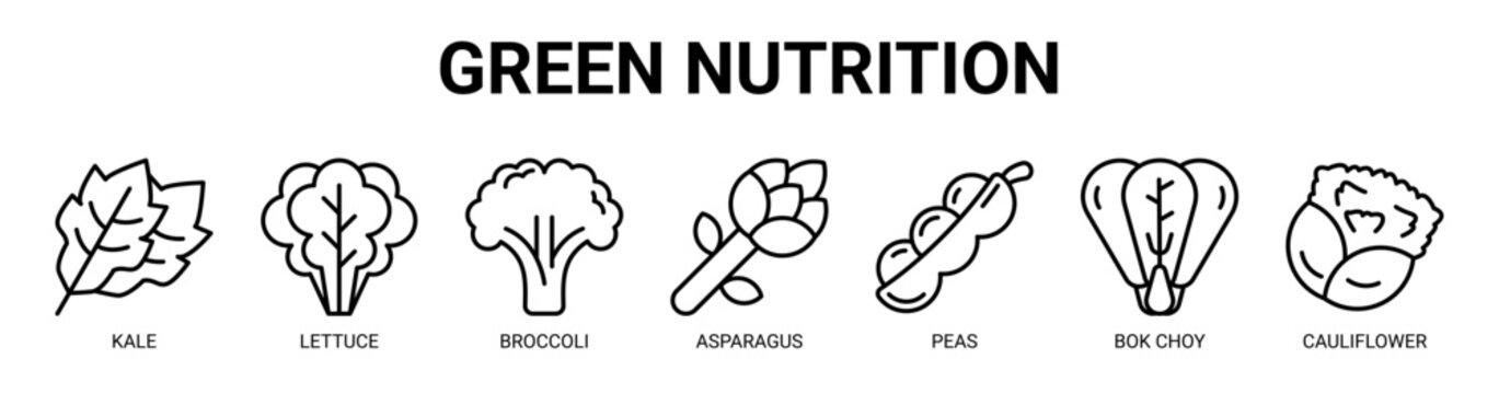Green Nutrition web banner icon vector illustration concept with icon of kale, lettuce, broccoli, asparagus, peas, bok choy, and cauliflower.