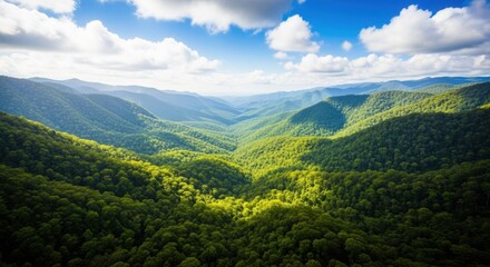 Naklejka premium Vast green mountain valley