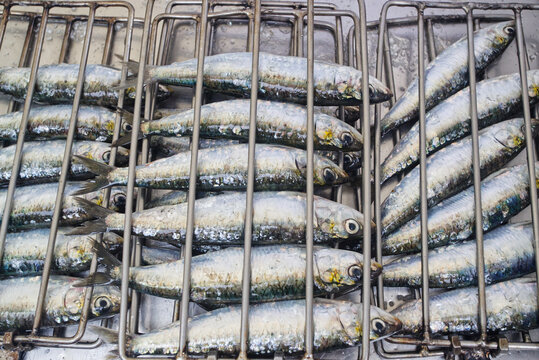 Sardine Festival, in Cand&aacute;s, Asturias, Spain. On the Paseo de San Antonio. It is a popular festival.