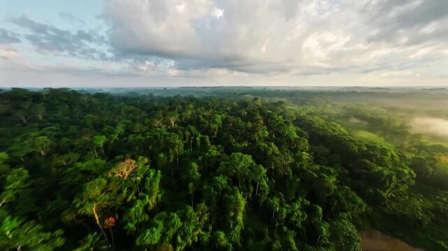 Sunrise drone fight deep in the Amazon rainforest 