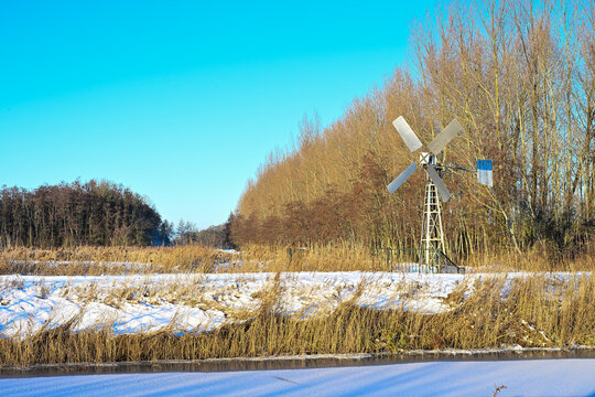Frozen polder ditch with reeds and a row of poplar trees in the snow. Beautiful winter landscape with low sunlight and long shadows in Zaltbommel, Gelderland, Netherlands.