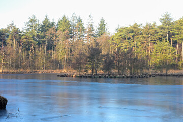 Fototapeta premium Frozen Forest Pond Surrounded by Bare Trees in Winter Sunlight
