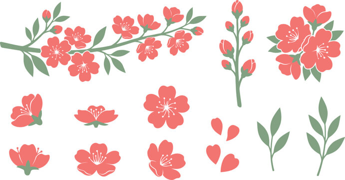 Modern cherry blossom vectors bloom stages flat vector pack with coral pink sage green horizontal flowering branch vertical buds dense flower cluster individual blossoms falling heart-shaped petals 