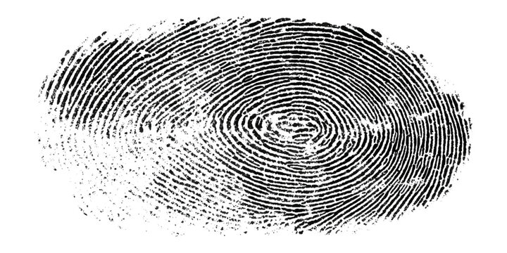 Grunge fingerprint texture background. vector ink splatters distressed brush stroke overlay. crime investigation fingerprint art print featuring damaged marks.