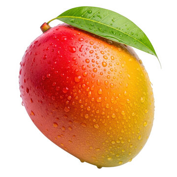 3d rendered ripe mango with water droplets isolated on transparent background