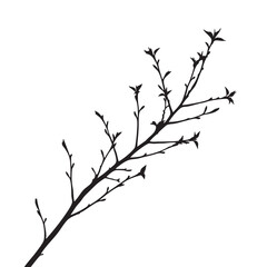 Obraz premium tree branches silhouette