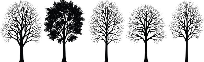 Obraz premium Silhouette Illustration of Seasonal Tree Variations Featuring Leafless and Foliage Trees for Nature, Botany, and Vector Design Applications