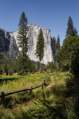 El Capitan view from the road