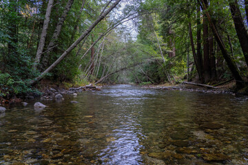 Obraz premium The Big Sur River Flowing Over a Shallow Bed to Sea in California