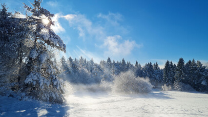 Dazzling winter sunrise with sunbeams piercing through frozen trees A wide-angle landscape shot of a snow-covered field and forest edge.