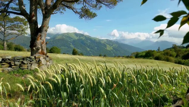 Retro inspired 4K background featuring alpine oat grain textures designed vintage visual projects nostalgic branding creative website headers warm organic design 