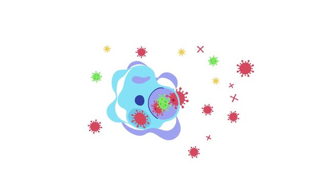 Bacteria Colony Vector Illustration