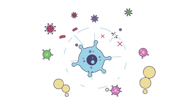 Blood Cell vs Virus Vector Illustration