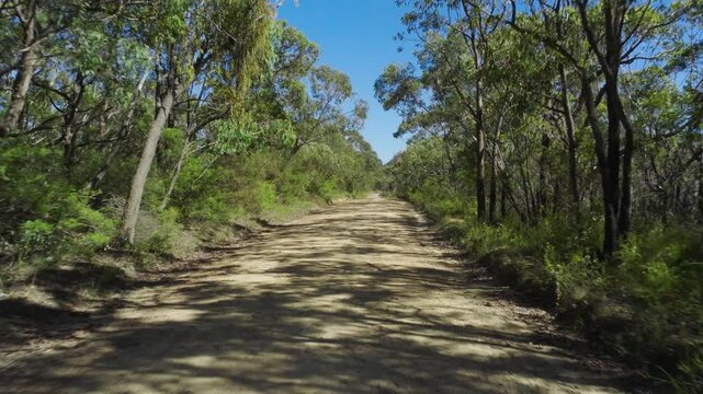 Drone aerial footage flying backwards on Kedumba Valley Road located in a large forest near Jamison Valley in the Blue Mountains in New South Wales, Australia.