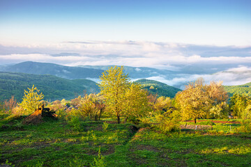 Fototapeta premium carpathian mountain landscape of ukraine in morning fog. lush green alpine meadows in spring. beautiful view in to the valley. blue sky with clouds on sunny morning. csr visual for esg report
