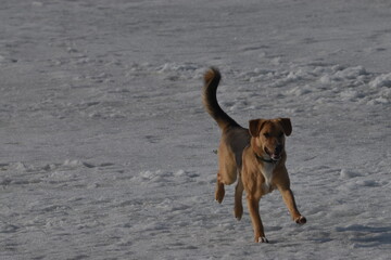 People walking and skating on frozen lake in winter
