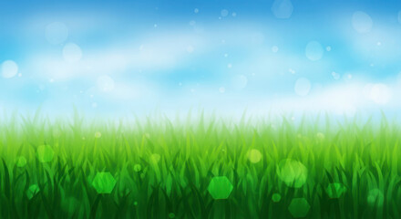 Fototapeta premium Fresh green wheat field under blue sky with soft sunlight glow