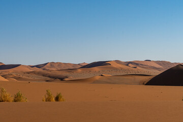 Scenic landscape of wind-sculpted ochre sand dunes stretching across the vast Sossusvlei area in the Namib Desert, Namibia