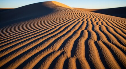 Naklejka premium Sand Dunes Ripples. A high-contrast shot of sand dunes in a desert. The sun creates deep shadows, highlighting the intricate, wavy wind ripples on the surface of the sand.
