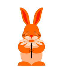 bunny sniffing flower isolated on white background